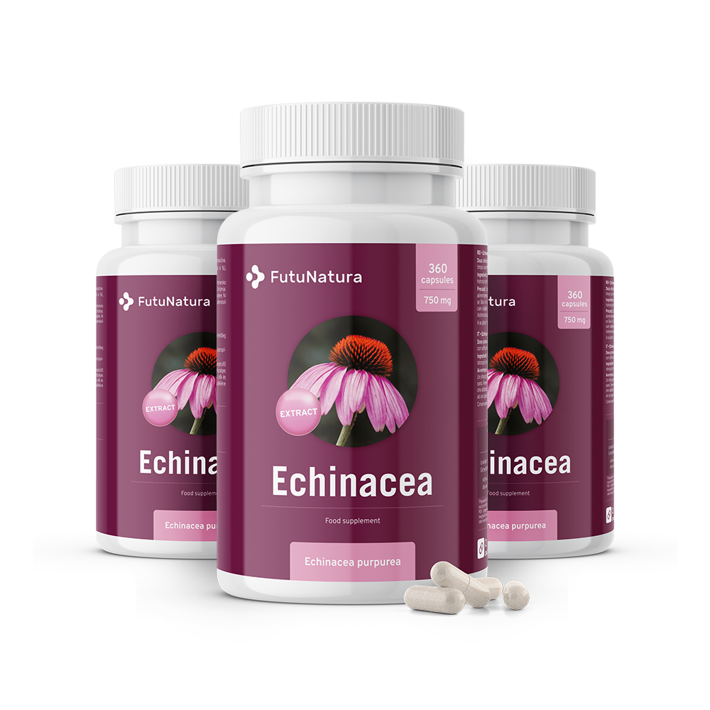 Echinacea purpurea - extract 10:1