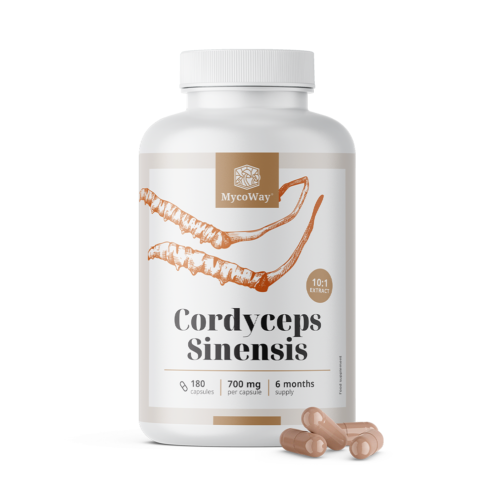 Cordyceps sinensis 1400 mg - extract 10:1