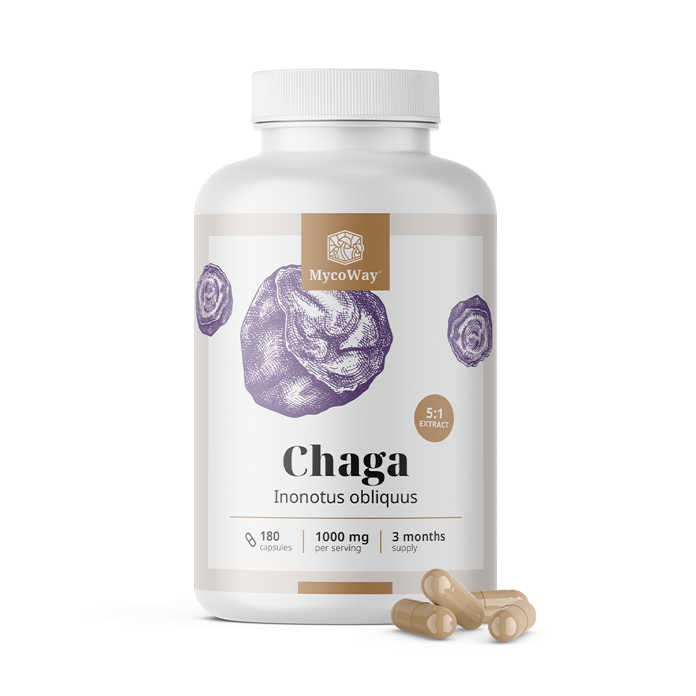 Ciuperca Chaga 1000 mg – extract 5:1