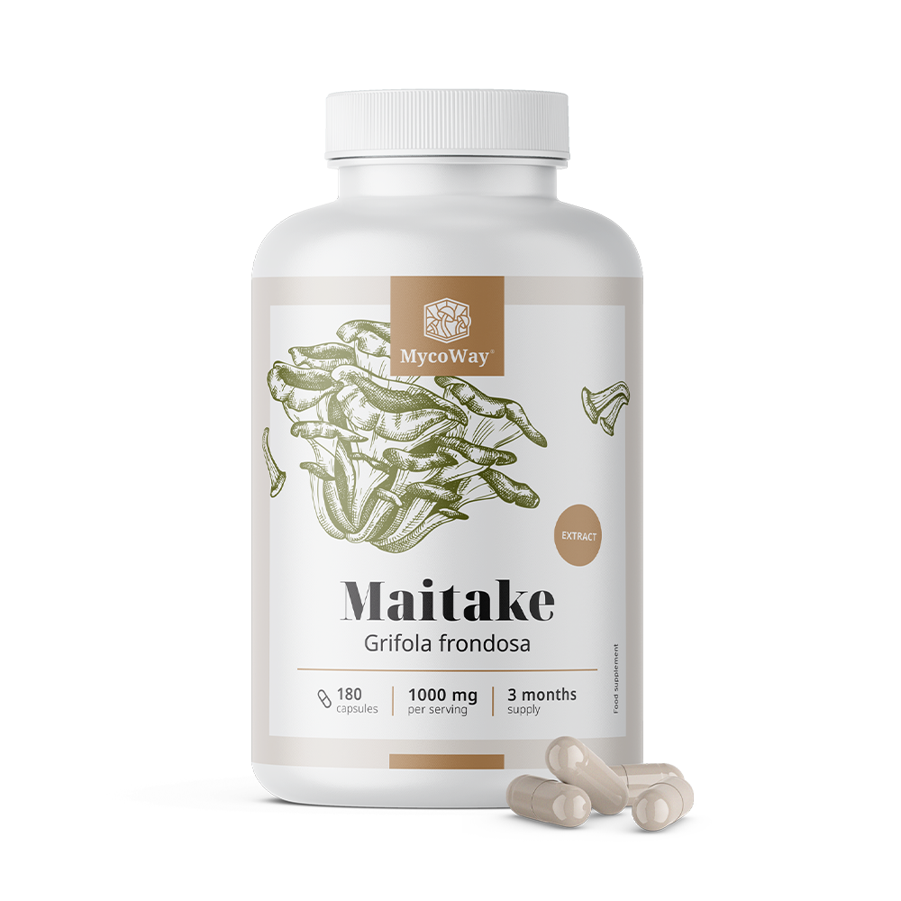 Maitake 1000 mg – extract