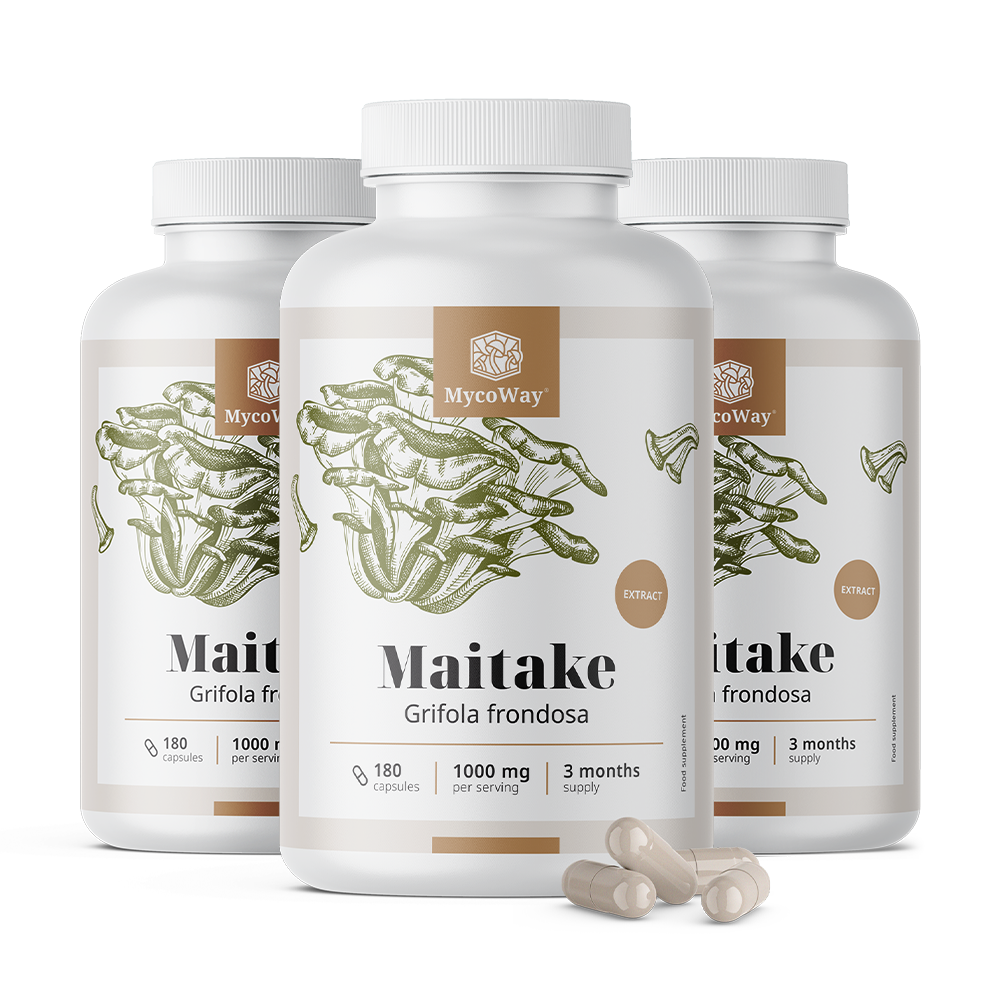 Maitake 1000 mg – extract