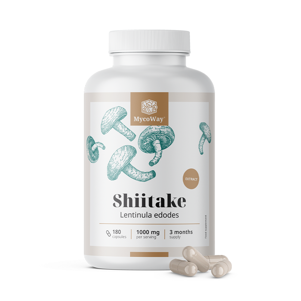 Shiitake 1000 mg - extract