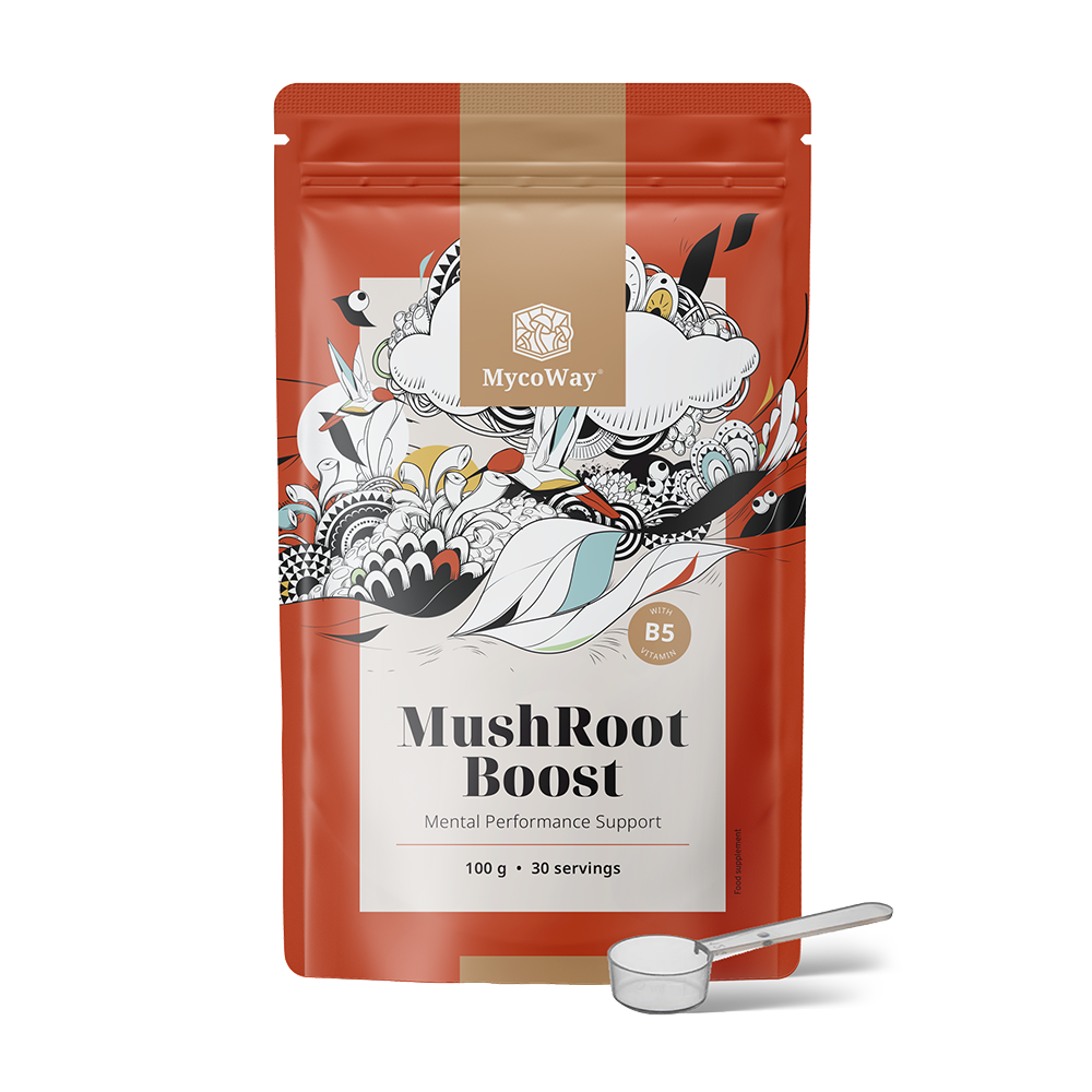 MushRoot Boost - băutură pentru performanțe mintale