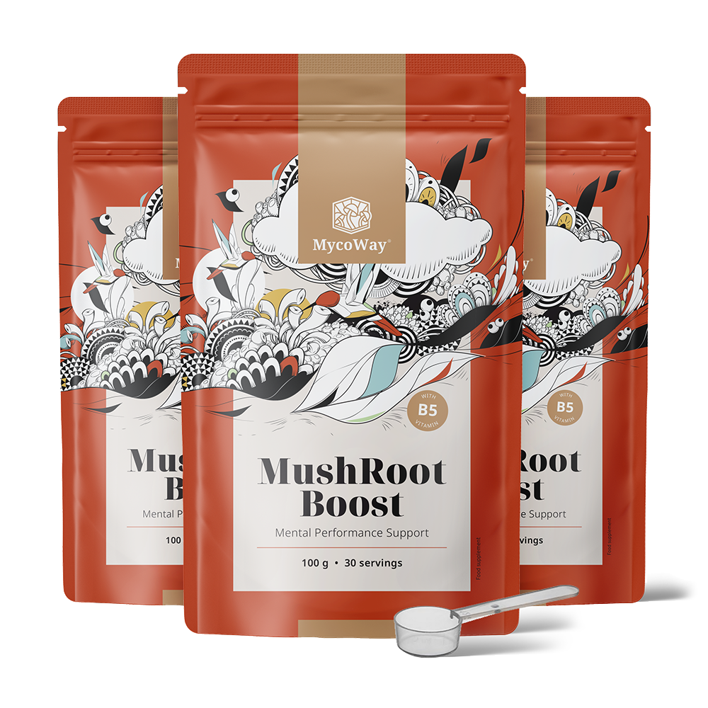 MushRoot Boost - băutură pentru performanțe mentale